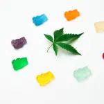 Cos’è il CBD: storia, caratteristiche chimiche, effetti