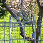 I consigli migliori per mettere in sicurezza il giardino